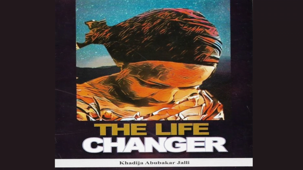 Summary of the Life Changer JAMB Novel