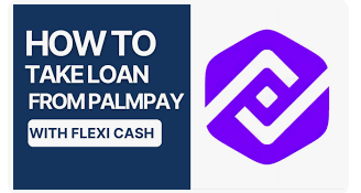 How to take loan from Palmpay with Flexi Cash